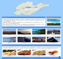 网页效果