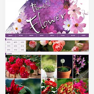 鲜花花卉主题网页设计作业代做大学生网页制作DW网页设计模板下载