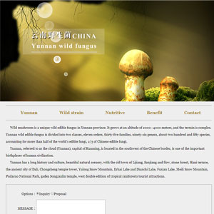 HTML英文国外留学生网页设计作业代做,云南野生菌网页设计模板源