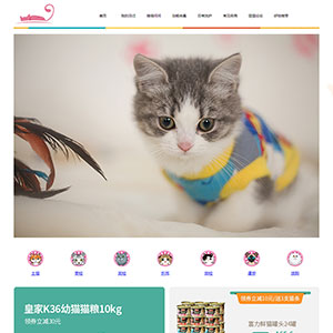 宠物猫咪网站论坛学生网页作业吸猫日记网页设计大作业模板