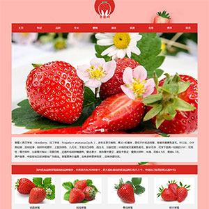 草莓主题DW大学生网页设计期末作业静态html网页模板成品下载