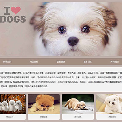 宠物狗简单网站制作 静态网页作业代做 大学生网页设计作品