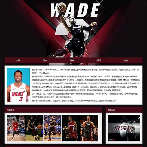 NBA韦德网页制作 大学生网页设计大作业模板 静态HTML网页设计代做学生网页制作