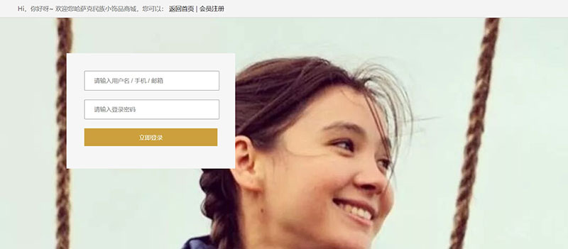 登录页面