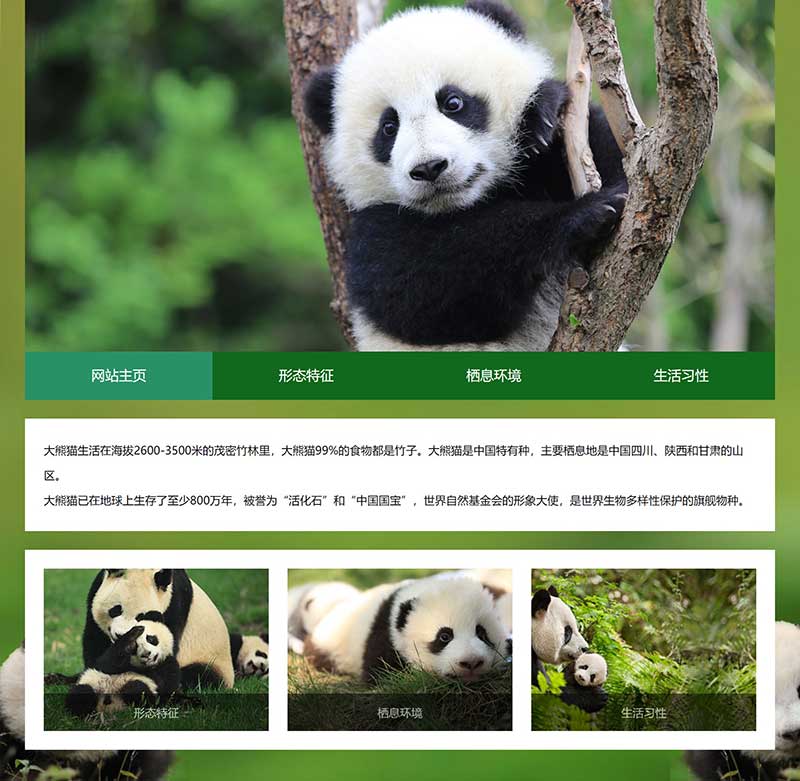 大熊猫网页