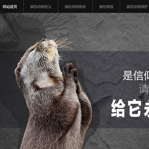 保护濒危动物网页制作 大学生保护动物网页设计作品 濒危动物静态网页成品下载