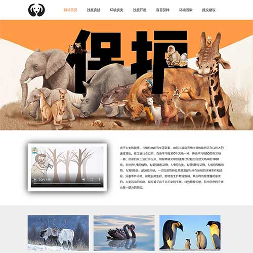保护动物网页制作成品 动物保护网页模板作业 学生动物灭绝原因网站代码